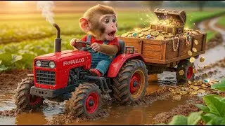 Monkey Farm Accident! Grape Harvest Disaster &ndash; Smart Monkey Saves the Tractor