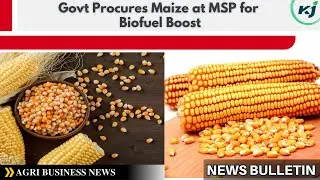 Maize to be Procured by Govt at MSP, Increased Production to Meet Biofuel Requirements