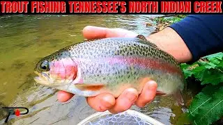 Trout Fishing Tennessee's North Branch Indian Creek
