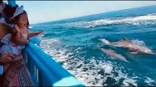 Khasab OMAN - DOLPHIN Sighting | Family Adventure | Travel vlog | Best Destination in Oman