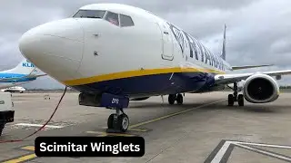 ✈ Trip report | Ryanair B737-800 | Scimitar Winglet | Malaga - Palma De  Mallorca  ✈
