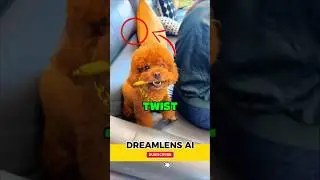 Poodle Stops Robbery&hellip; Until He Gets a Treat 😂🐶💸