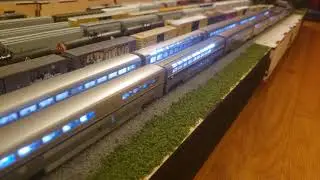 Amtrak Coast Starlights in N Scale