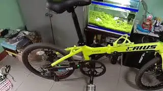 Crius Vigour neon green