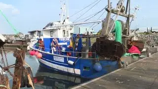 French fishermen stand firm in scallop war skirmish