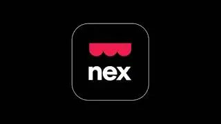 How to register a stock input adjustment using Nex on the web