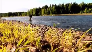 A windy day flyfishing in Ljusnan.