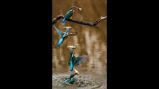 Hyperfun  by Kevin MacLeod ( Beautiful Relaxing Classical Music )