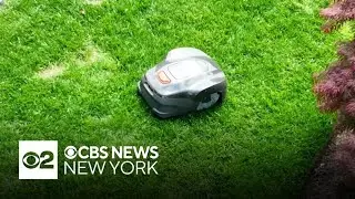 Some Long Island neighborhoods making switch from deafening lawn mowers to quiet electric bots