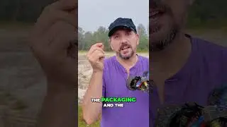 Rlaarlo X12S Review  The Perfect RC Buggy Balance!