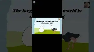 #largestcell#ostrich#sciencefact#learnwithme#2025