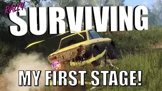 Learning Rally the Hard Way in Dirt Rally 2.0