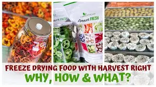 FREEZE DRYING RAW VEGAN FOOD with HARVEST RIGHT &bull; WHY, HOW & WHAT?