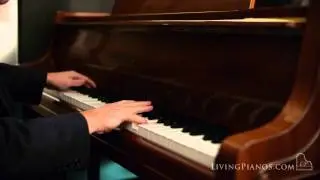Bechstein-Zimmerman Art Case Baby Grand Piano for Sale &ndash; Elegant Baby Grands