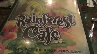Rainforest Cafe Dining Compilation, Disney Village, Disneyland Paris 2017