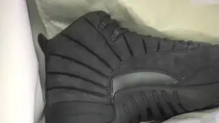 Unauthorized Jordan 12 PSNY $240USD