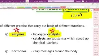 2025-05-15 Law of Complementary Base Pairing ; Gene ; What do proteins do?