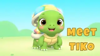 Meet Tiko the Tiny Turtle