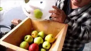 Making Cider the Old Fashioned Way