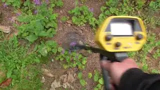 METAL DETECTOR ino da 50 euro test in campo e vedi come lavora benino un gioiellino cercametalli