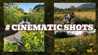 Cinematic Shots NS200 & The Sunflower Field#LifestyleVlog#DayInMyLife #AestheticEdits #H77 #TeenVlog