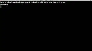 Installing The grunt Module