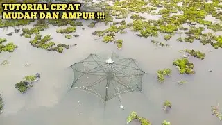 Cara Pasang Bubu Payung Yang Benar Biar Hasil Melimpah