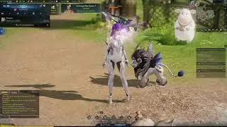 LOST ARK LEGENDARY PET UPGRADE