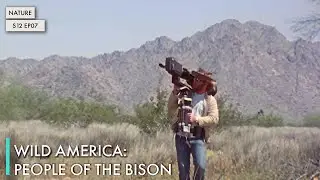 Wild America: People of the Bison