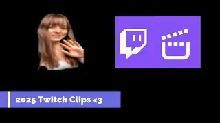 2025 Twitch Clips