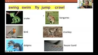 English Time: Animals that can swing, swim, fly, jump and crawl + Homework
