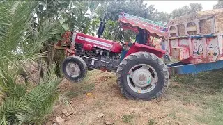260