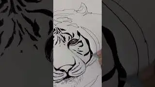 Real Tiger #art #drawing #draw #portrait #tiger #sketching