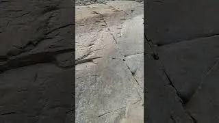 Glacial Striations Ashokan Reservoir