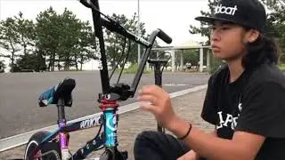 How to assemble a Wildcat Mini BMX