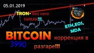 Ethereum & EOS - пророки будущего? Bitcoin, Tron, MDA, Stratis- обзор.