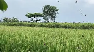 TOP HITS SPOTIFY 2026 | PLAYLIST LAGU VIRAL TERBAIK TRENDING, LAGU GALAU TERBARU, LAGU SANTAI