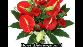 Flowerzone Newcastle.mp4