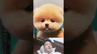 Tỉa T&oacute;c Cho Em S&ocirc; C&ocirc; La