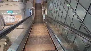 2 Standard & 2 Single-file Mitsubishi Escalators at J-Life, Pudong, Shanghai, China