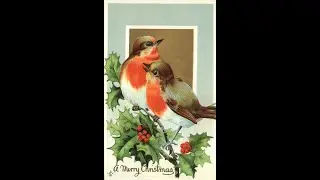 50 Old Christmas Bird Pictures   [ Episode # 111 ]