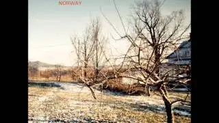 The Bright Road - &Agrave; reculons