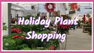 Holiday Plant Shopping🎄🎀 || Kreatyve Laydiiee