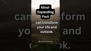 #mindexpandingfacts: the power if positive thinking...#subscribe #truefacts #shorts