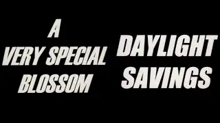Episode 20: A Very Special Blossom & Daylight Savings