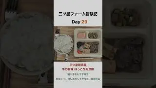 【Day29】三ツ星ファーム冒険記｜三ツ星居酒屋 牛の旨味 ほっこり肉豆腐