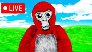 Gorilla Tag Live With Viewers (Gorilla Tag VR Live) 46,700?