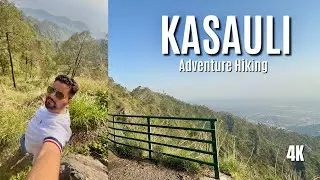 Kasauli&rsquo;s Deadliest Trail? My Gilbert Trail Experience | Must Watch! #kasaulivlog