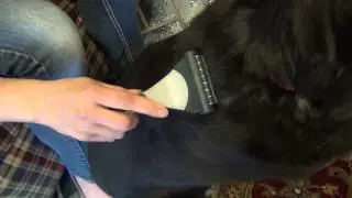 Evolution&reg; Shed Magic&reg; De-Shedding Tool