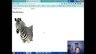 Implementasi Prediksi Hewan Menggunakan Model Tensorflow ResNet50-Flask Appclication